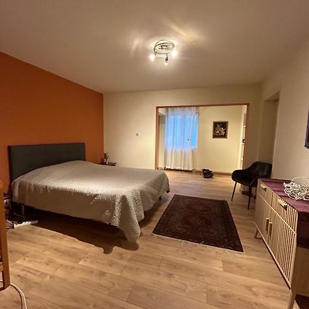 Bel Appartement En Rdc Proche Strasbourg Nice Apartment Very Near Страсбург Екстер'єр фото