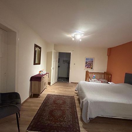 Bel Appartement En Rdc Proche Strasbourg Nice Apartment Very Near Страсбург Екстер'єр фото
