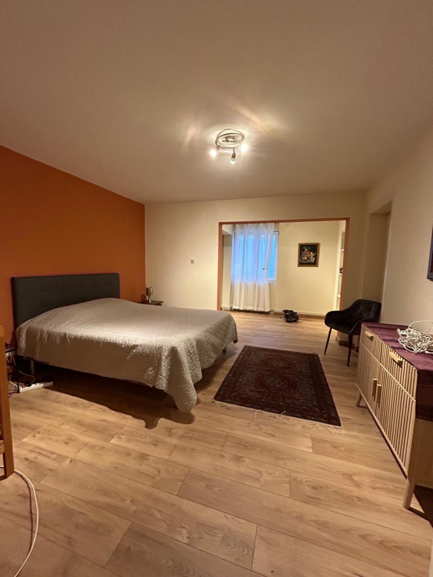 Bel Appartement En Rdc Proche Strasbourg Nice Apartment Very Near Страсбург Екстер'єр фото