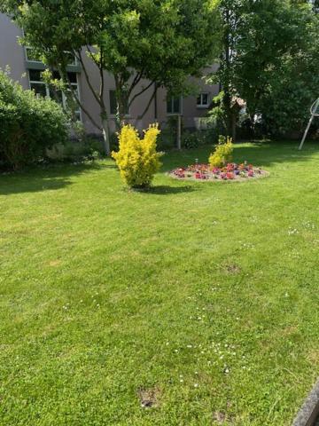 Bel Appartement En Rdc Proche Strasbourg Nice Apartment Very Near Страсбург Екстер'єр фото